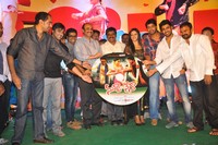 Nuvva Nena Audio Launch